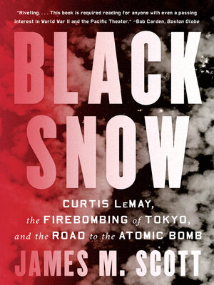 cover image of Black Snow